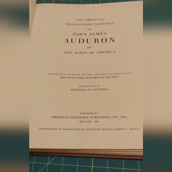 Harlan's Hawk, Plate 174. John James Audubon - Picture 3 of 4